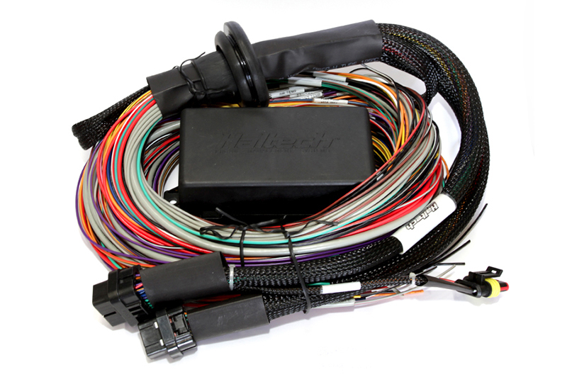 Elite 2500 + Premium Universal Wire-in Harness Kit Length: 5.0m (16') – Bild 2