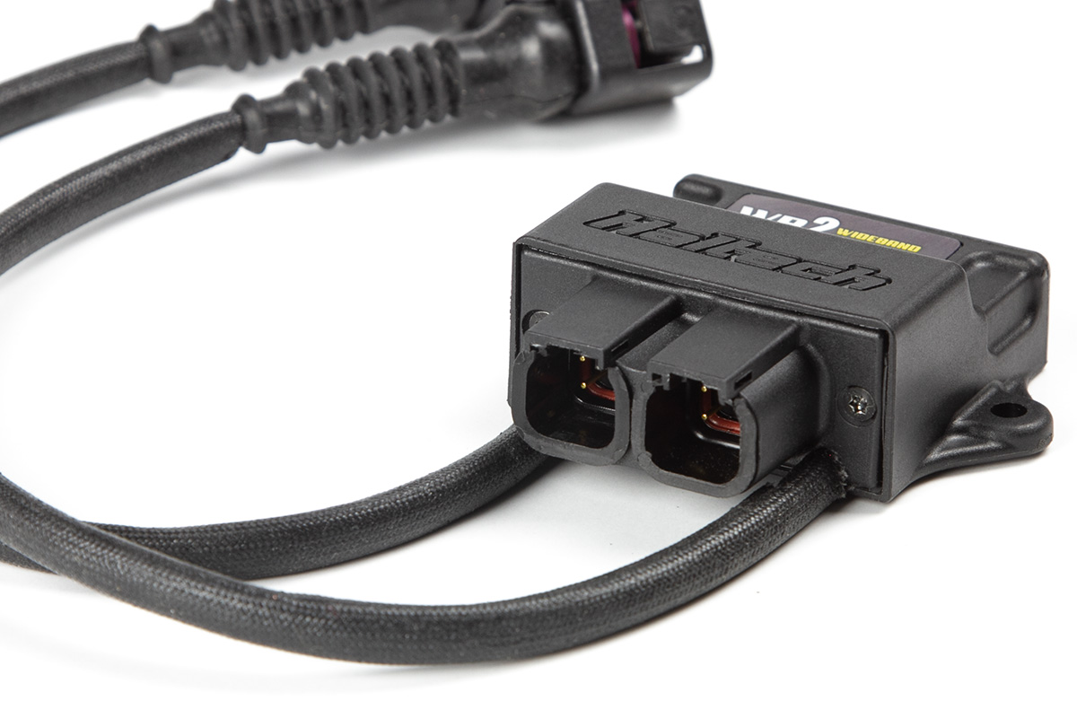 WB2 Bosch - Dual Channel CAN O2 Wideband Controller Kit Length: 1.2M (4ft) – Bild 4